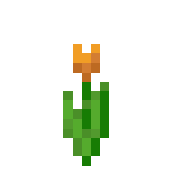 Orange Tulip