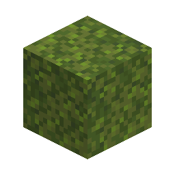 Moss Block