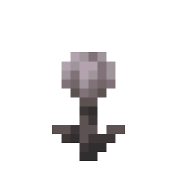 Closed Eyeblossom