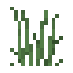 Tall Grass