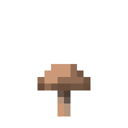 Brown Mushroom