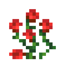Rose Bush