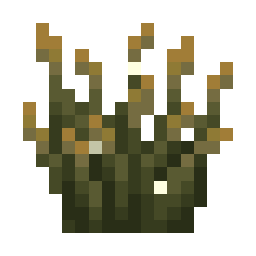 Firefly Bush