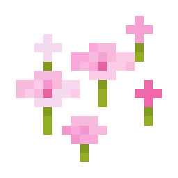 Pink Petals