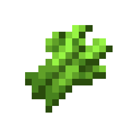 Sugar Cane