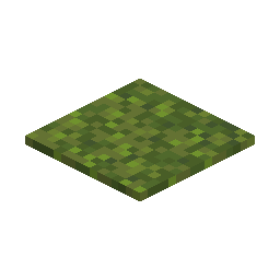 Moss Carpet
