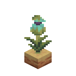 Pitcher Crop