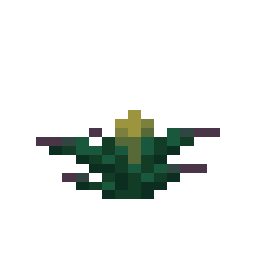 Torchflower Crop