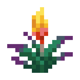 Torchflower