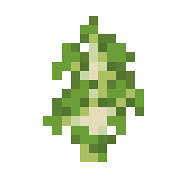 Birch Sapling