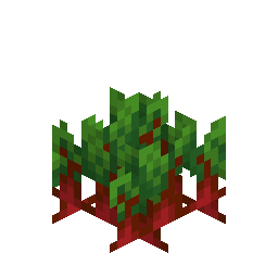 Beetroots