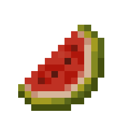 Melon Slice