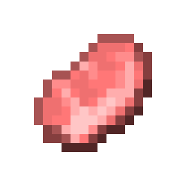Raw Porkchop