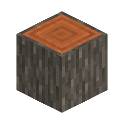 Acacia Log