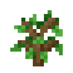 Oak Sapling