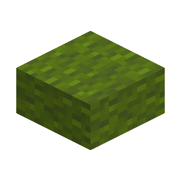 Green Wool Slab