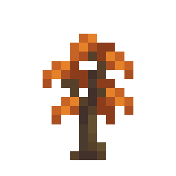 Poplar Sapling