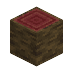 Mangrove Log