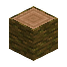 Jungle Log