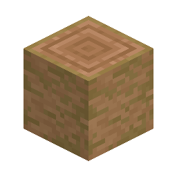 Stripped Jungle Log