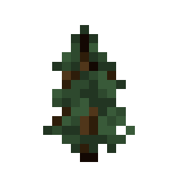 Spruce Sapling