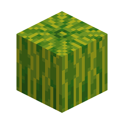 Melon