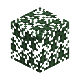 Spruce Leaves