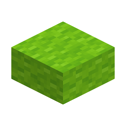 Lime Wool Slab
