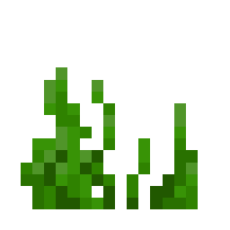 Seagrass
