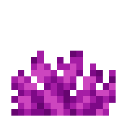 Bubble Coral Fan