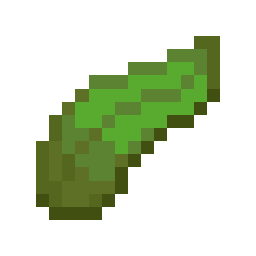 Kelp