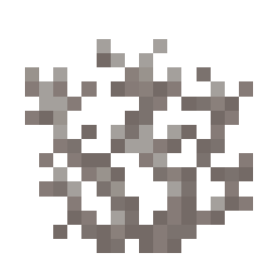Dead Brain Coral