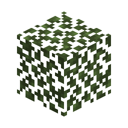 Birch Leaves