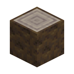 Poplar Log