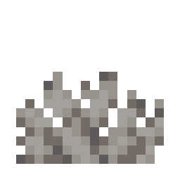 Dead Bubble Coral Fan
