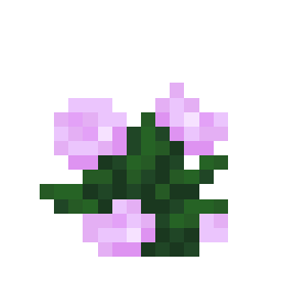 Peony
