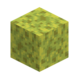 Wet Sponge