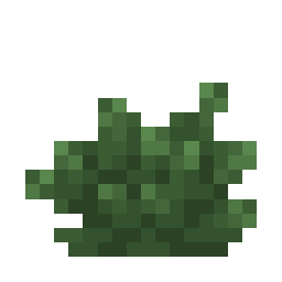 Bush