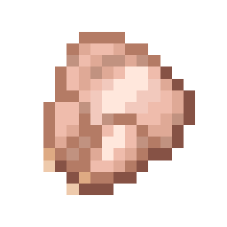 Raw Chicken