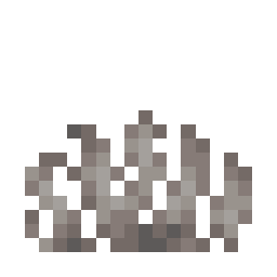 Dead Horn Coral Fan