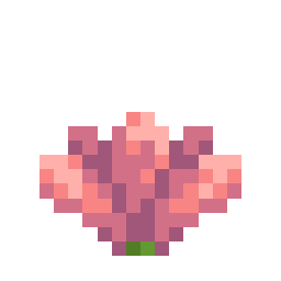 Cactus Flower