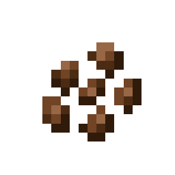 Cocoa Beans