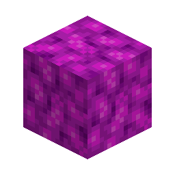 Bubble Coral Block