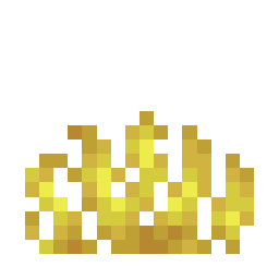 Horn Coral Fan