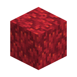 Fire Coral Block