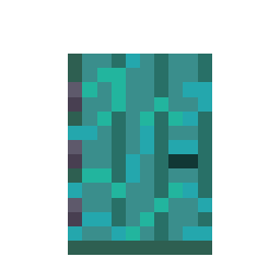 Warped Door