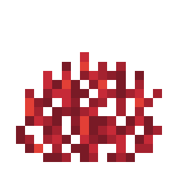 Fire Coral Fan