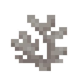 Dead Horn Coral