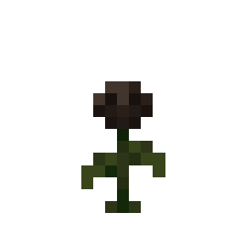 Wither Rose
