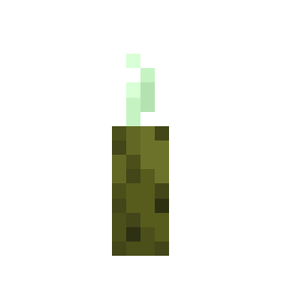 Sea Pickle